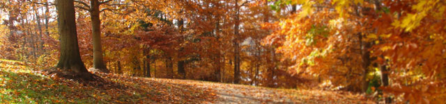 Förderverein Rotary Erfurt Rotating Header Image