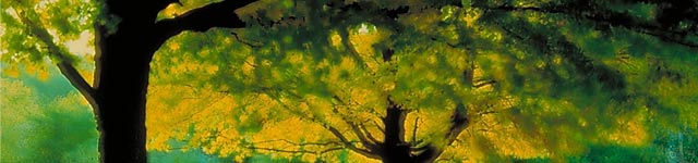 Förderverein Rotary Erfurt Rotating Header Image